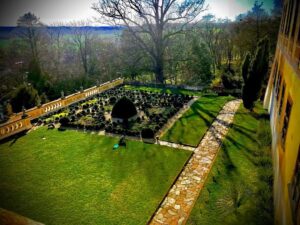 Crispin Glover Instagram - There are at least 14 peafowl in this image and two of the males are displaying in the parterre at Zamek Konarovice Czech Republic