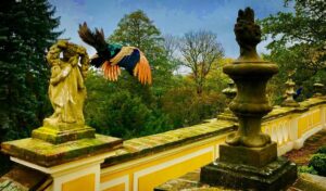Crispin Glover Instagram - One peacock flies above the balustrade while the other peacock watches on the balustrade. This was taken not too long after the peacocks had molted their tail feathers. They fly regularly when they have the extra weight of the full tail feathers as well. Zamek Konarovice Czech Republic
