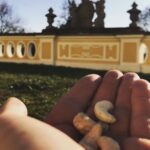 Crispin Glover Instagram - Feeding my peacock friend more raw cashews in the parterre at Zamek Konarovice Czech Republic