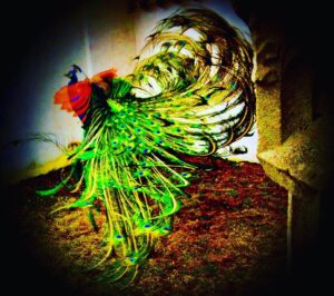 Crispin Glover Instagram - A peacock lands from a flight at Zamek Konarovice Czech Republic