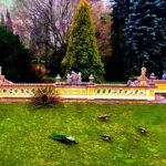 Crispin Glover Instagram - One peacock displays while five peafowl look in other directions in the parterre at Zamek Konarovice Czech Republic