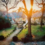 Crispin Glover Instagram - Lone peacock contemplates dusk and the trees it will fly in to for the night at Zamek Konarovice Czech Republic