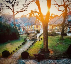 Crispin Glover Instagram - Lone peacock contemplates dusk and the trees it will fly in to for the night at Zamek Konarovice Czech Republic