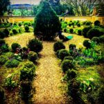 Crispin Glover Instagram - Two peacocks in the parterre at Zamek Konarovice Czech Republic
