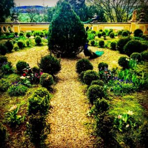 Crispin Glover Instagram - Two peacocks in the parterre at Zamek Konarovice Czech Republic