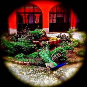 Crispin Glover Instagram - Peacock is in motion next to the fountain in the courtyard. Zamek Konarovice Czech Republic