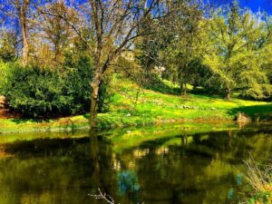 Crispin Glover Instagram - Zamek Konarovice from another perspective from the lower pond looking up. The photos will shift back inside but it is good to take diversions in to the park and gardens related to the views from inside. Zamek Konarovice Czech Republic