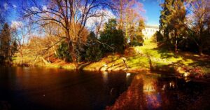 Crispin Glover Instagram - A wider photo looking back up from below the lower pond. Zamek Konarovice Czech Republic is visible between the trees