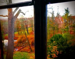 Crispin Glover Instagram - Photo through the window of the room in the previous two photos onto the upper pond and a part of the park. Zamek Konarovice Czech Republic