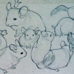 Curie Lu Instagram - Life drawings of my chinchilla. Incredible neck fat ′ェ`