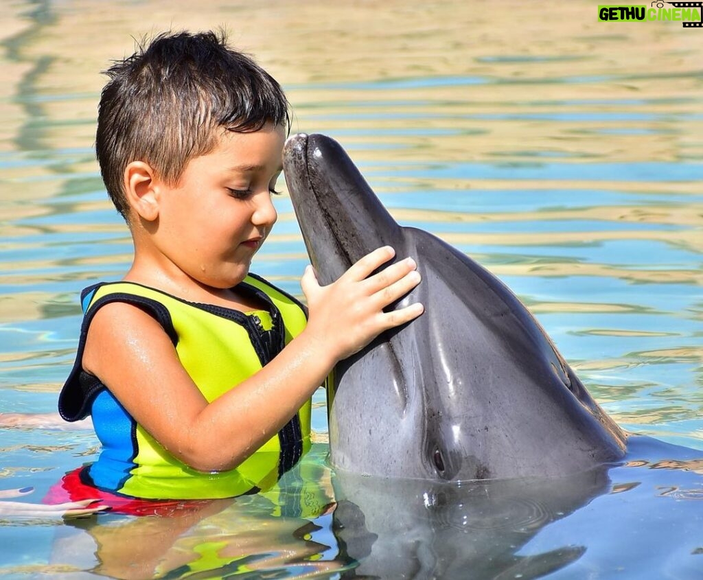 Cyrine Abdel Nour Instagram - كان نهار كتير حلو، تاليا وكريستيانو كتير انبسطو 🐬 شكراً لكل الاشخاص والمدربين يللي خلو هالنهار يكون مميز #دبي #سيرين_عبدالنور @aquaventuredubai @atlantisthepalm #dubai Atlantis, The Palm