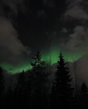 Déborah François Instagram - Northern lights 🌟

Hier j’ai réalisé un rêve, voir des aurores boréales depuis le cercle arctique. Une beauté à couper le souffle, j’en suis restée sans voix. …Et presque convaincue de l’existence des fées. 

Ps: images sans filtres et prises simplement depuis mon téléphone (en vrai c’est encore mieux mais j’avoue que je tremblais un peu d’émotion ☺️)