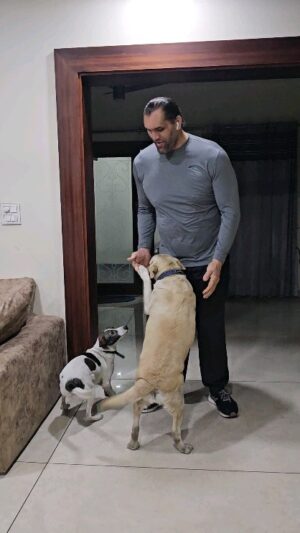 Dalip Singh Instagram - 