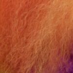 Dan Deacon Instagram - Nice reviews today from @indiewire & @pitchfork for my score to Well Groomed! 🟡Links in bio 🟢IndieWire is premiering a new video to Snip Snip, the first track off the album 🔵 And I believe this is my highest rated album from Pitchfork since 2009s Bromst🟠There are still preorder copies left so gettem now 🔴 Rainbow Dogs