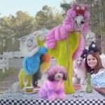 Dan Deacon Instagram - Nice reviews today from @indiewire & @pitchfork for my score to Well Groomed! 🟡Links in bio 🟢IndieWire is premiering a new video to Snip Snip, the first track off the album 🔵 And I believe this is my highest rated album from Pitchfork since 2009s Bromst🟠There are still preorder copies left so gettem now 🔴 Rainbow Dogs