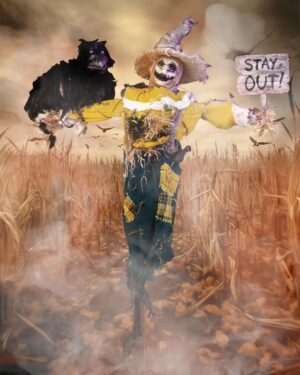 Daniel Wallace Instagram - Just hanging out here with the crows.....
Stream the Boulet Brothers’ Dragula Season 5 on Shudder and AMC+! New episodes every Monday Night
@bouletbrothersdragula @bouletbrothers @shudder @amcplus
