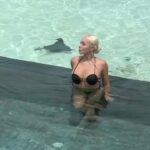 Daniella Chávez Instagram - En plena sesión de videos y una Mantarraya también quería salir en uno!🩵 #Maldives ( que bueno no me la encontré antes cuando estaba en el mar 😅)