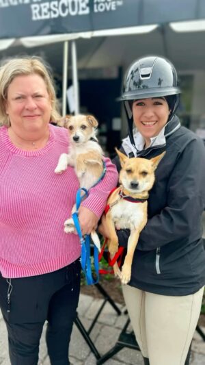 Danny Robertshaw Instagram - First dog adoption of 2024! Thank you Jolie and Ally for adopting puppy HOPSCOTCH in 2023 and coming back to adopt his mother, CANELA —- our first official adoption of 2024!  That makes FOUR Danny & Ron’s Rescue dogs in your family pack! 🐶 🐶 🐶 🐶 

#adoptlove❤️ #alifetimepromise #DannyRonsRescue