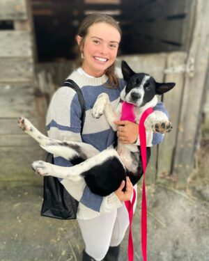 Danny Robertshaw Instagram - 🎉 Congratulations to the fabulous families who found their #perfectmatch at our Danny & Ron’s Rescue adoption event at Blowing Rock Horse Show!