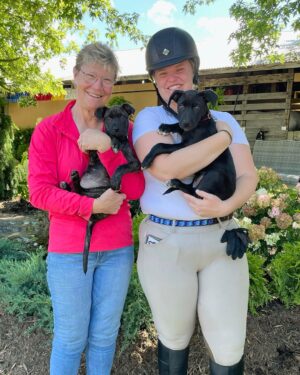Danny Robertshaw Instagram - 🎉 Congratulations to the fabulous families who found their #perfectmatch at our Danny & Ron’s Rescue adoption event at Blowing Rock Horse Show!