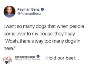 Danny Robertshaw Instagram - 100 🐕 and counting ... 
.
.
@paymanbenz <3