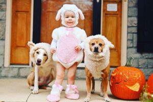 Danny Robertshaw Instagram - 3 Little 🐑 🐑 🐑 
Taylor and her best buds Gracie and Cooper adopted from Danny & Ron’s Rescue.