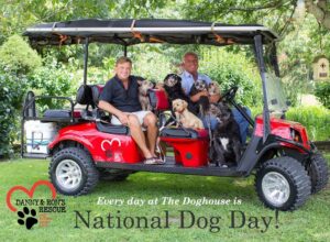 Danny Robertshaw Instagram - This Is How We Roll ... Every Day at The Doghouse is NATIONAL DOG DAY! 🐕 🐩 🐶 🐹