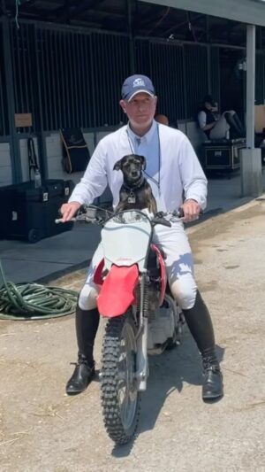 Danny Robertshaw Instagram - #readytoride #dannyronsrescue #dogsofinstagram