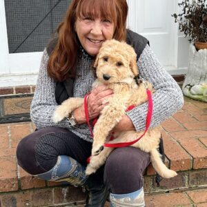 Danny Robertshaw Instagram - 🐶 🐶 🐶 🐶 🐶 Five precious Standard Poodle mix puppies born at @dannyronsrescue are finally with their #perfectmatch! 

IZZY, our Standard Poodle/Labrador momma, gave birth to these beauties in Nov. RAPUNZEL, EUGENE, MAXIMUS, PASCAL, and RYDER are all ready to rock and roll into their new homes! 

#perfectmatch
#DannyRonsRescue
#ALifetimePromise
#doodlesofinstagram