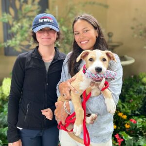 Danny Robertshaw Instagram - We're celebrating a successful Danny & Ron's Rescue Adoption Event at the Blowing Rock Charity Horse Show where 8 of our sweet dogs found their new forever families! 

#alifetimepromise 
#perfectmatch 
#DannyRonsRescue
#rescuedogsofinstagram