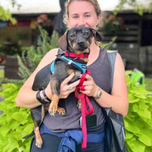 Danny Robertshaw Instagram - We're celebrating a successful Danny & Ron's Rescue Adoption Event at the Blowing Rock Charity Horse Show where 8 of our sweet dogs found their new forever families! 

#alifetimepromise 
#perfectmatch 
#DannyRonsRescue
#rescuedogsofinstagram