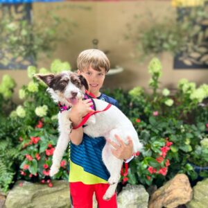 Danny Robertshaw Instagram - We're celebrating a successful Danny & Ron's Rescue Adoption Event at the Blowing Rock Charity Horse Show where 8 of our sweet dogs found their new forever families! 

#alifetimepromise 
#perfectmatch 
#DannyRonsRescue
#rescuedogsofinstagram