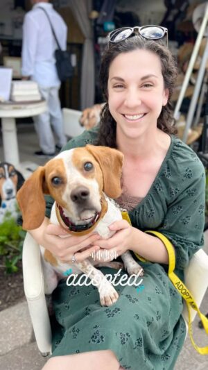 Danny Robertshaw Instagram - L-O-V-E 

#dannyronsrescue
#adoptlove 
#alifetimepromise