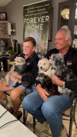 Danny Robertshaw Instagram - Danny & Ron 🐶 🐶 🐶. 
.
.
#rescuedogsofinstagram