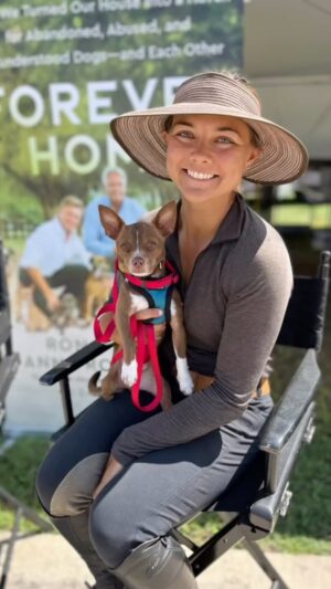 Danny Robertshaw Instagram - Happy Dogs! 🐶 Happy Adopters!@dannyronsrescue is grateful for a fun and successful adoption event!