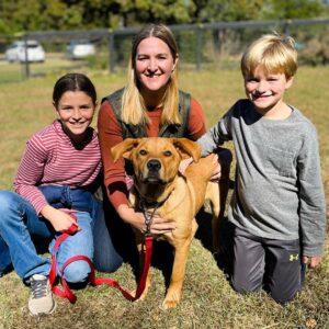 Danny Robertshaw Instagram - Adopted! 🎉 Spanky, Trevor, Hutch, and Trystan & Beverly found wonderful homes with loving families! 🏡 ❤️ 

#adoptlove #alifetimepromise 
#dannyronsrescue #foreverhome #rescuedogs