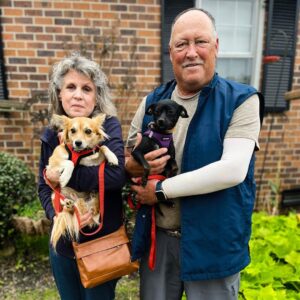 Danny Robertshaw Instagram - Adopted! 🎉 Spanky, Trevor, Hutch, and Trystan & Beverly found wonderful homes with loving families! 🏡 ❤️ 

#adoptlove #alifetimepromise 
#dannyronsrescue #foreverhome #rescuedogs