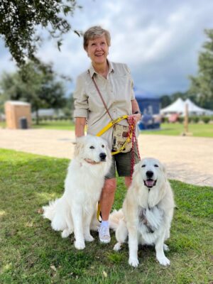 Danny Robertshaw Instagram - ADOPTED!  Our stunning Great Pyrenees, SAMPSON, (left) met the perfect family during our adoption event at the Aiken Fall Classic Horse Show.  Pat Runewitsch has a Great Pyr already, so instant family! 

Sampson came to Danny & Ron's Rescue after he was found as a stray in the Summer of 2021.  He's been through a few homes and has had some training --- finally, he's in a home with Great Pyr experience!