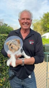 Danny Robertshaw Instagram - (Wellington, FL) TEX, a tricolor Yorkie puppy, was just pulled from our local shelter and is already “adoption pending” with a wonderful family! We encourage you to visit Palm Beach County Animal Care and Control where they are bursting at the seams with adoptable dogs. Or visit our Danny & Ron’s Rescue adoption booth at the Wellington International through March 31 and meet some of our dogs looking for new homes. #adoptlove #DannyRonsRescue #ALifetimePromise Wellington, Florida