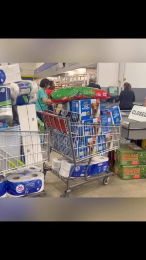 Danny Robertshaw Instagram - Danny & Ron’s Rescue on their annual trip to Aruba to bring medical and rescue supplies to New Life for Paws Foundation to help the homeless Cunucu Dogs.