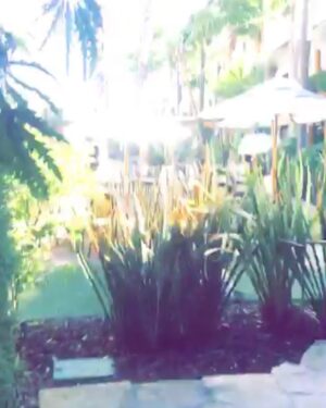 Daveigh Chase Instagram - walk with true intentions, work a worthwhile perception, love the sun for the shadows, life is defined by what you choose to do with it 💯