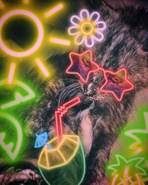 Daveigh Chase Instagram - F*** LA said miss Crenshaw. She wants to be a Meowi girl lol.. (miss u ggb @gaiagoldenbrown u need to meet ur nieces) #islandvibes 🌴