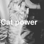 Daveigh Chase Instagram - I can't babe..@andi.elloway ....ahhh 👌🏼