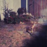 Daveigh Chase Instagram - F*** a fourth #. Happy 5th bitches @joshuascroggins @nio_alexandar @biibabarbour 💣💣💣