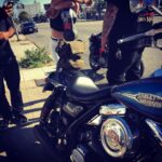 Daveigh Chase Instagram - 4th forever