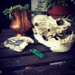 Daveigh Chase Instagram - Rawr