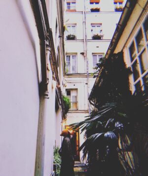 David Lambert Instagram - 🇫🇷