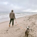 David Lim Instagram – Breezy morning in Malibu with my boy @milesinla. 🐶💙🌊 #calilife Malibu, California