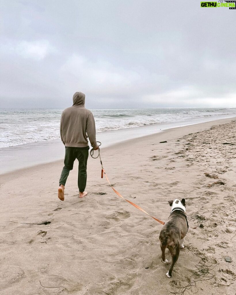 David Lim Instagram - Breezy morning in Malibu with my boy @milesinla. 🐶💙🌊 #calilife Malibu, California