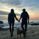 David Lim Instagram - Goodbye 2023. Onward and upward. 👋🏽🌅🩵🐶
